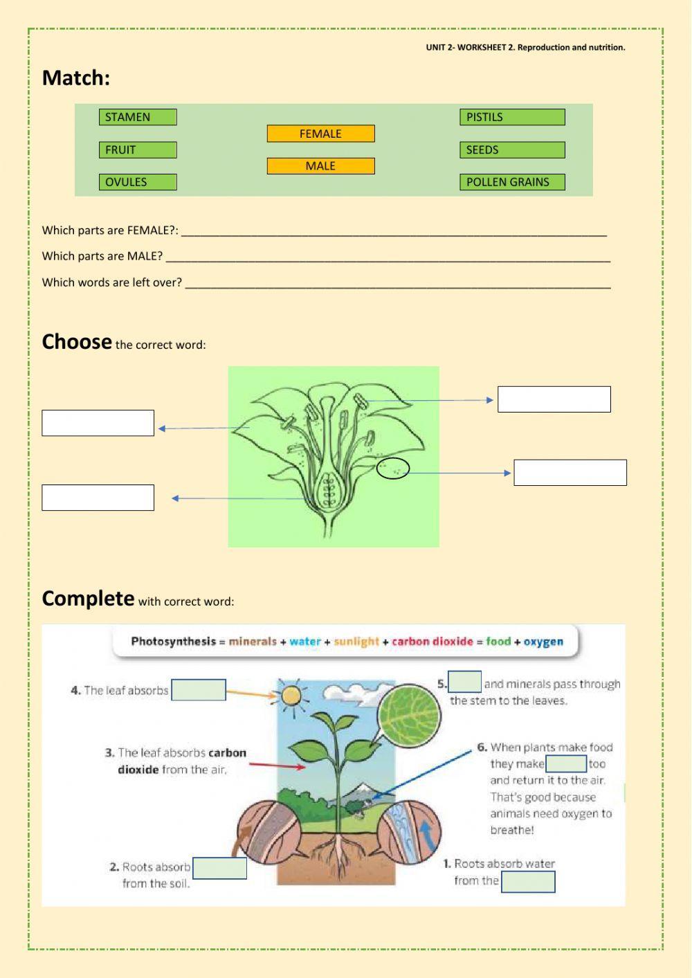 Nutrition and reproduction in plants.