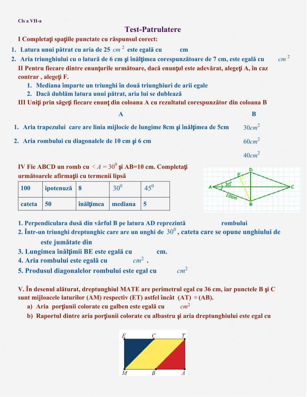 Test - Patrulatere cls a VII-a 
