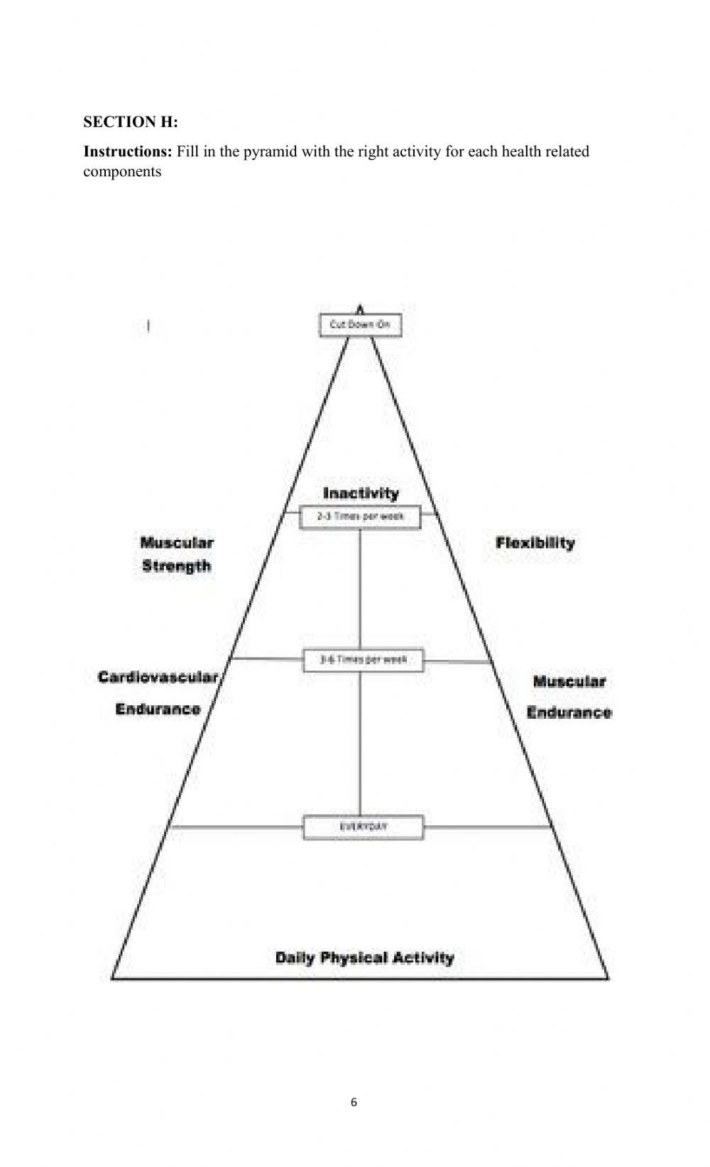 Physical Education Exam grade 9 worksheet | Live Worksheets physical-education-exam-grade-9-worksheet-live-worksheets