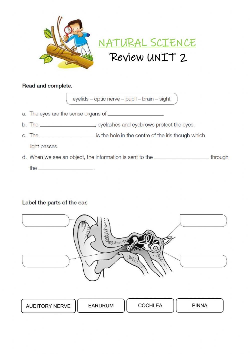 Review unit 2