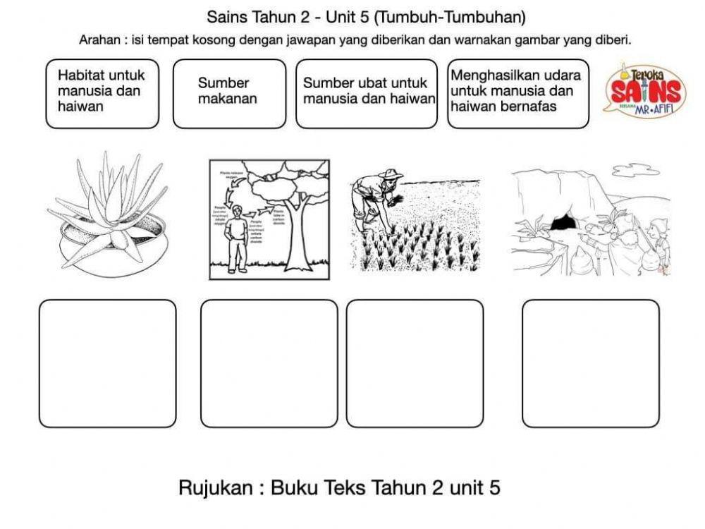 Ulangkali Sains Tahun 2