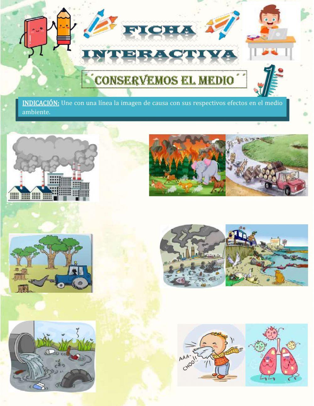 Conservemos el medio