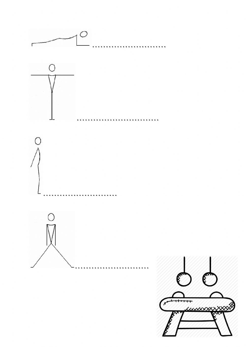 Pracovní list-tělesná výchova-přehled