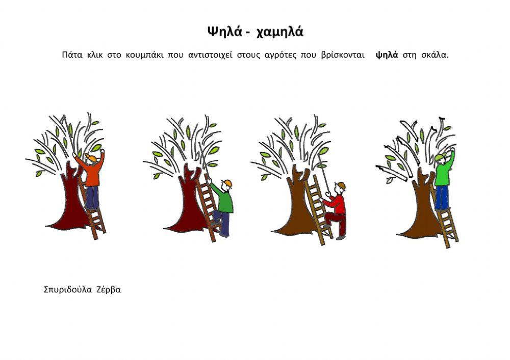 ελιά - ψηλά- χαμηλά