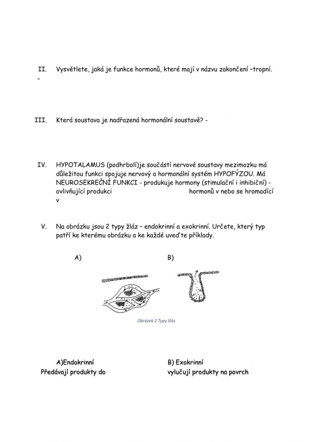 Endokrinní soustava-pracovní listy
