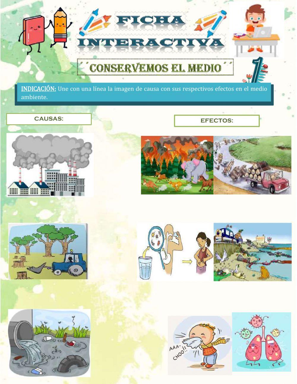 Conservemos el medio.