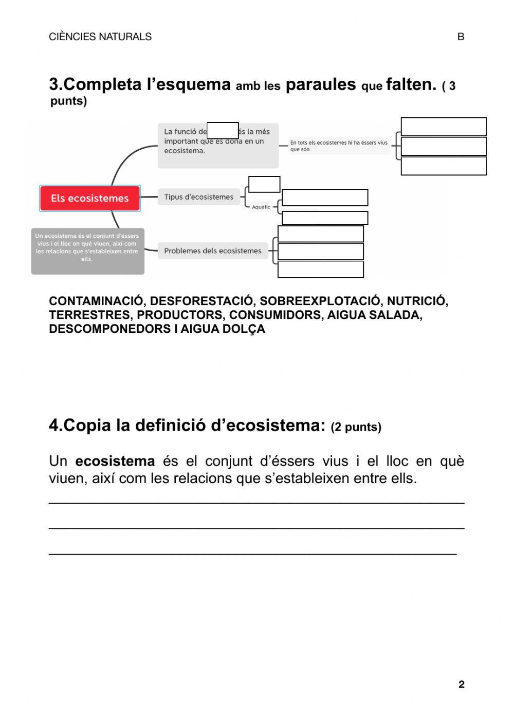 FItxa repàs. Ecosistemes
