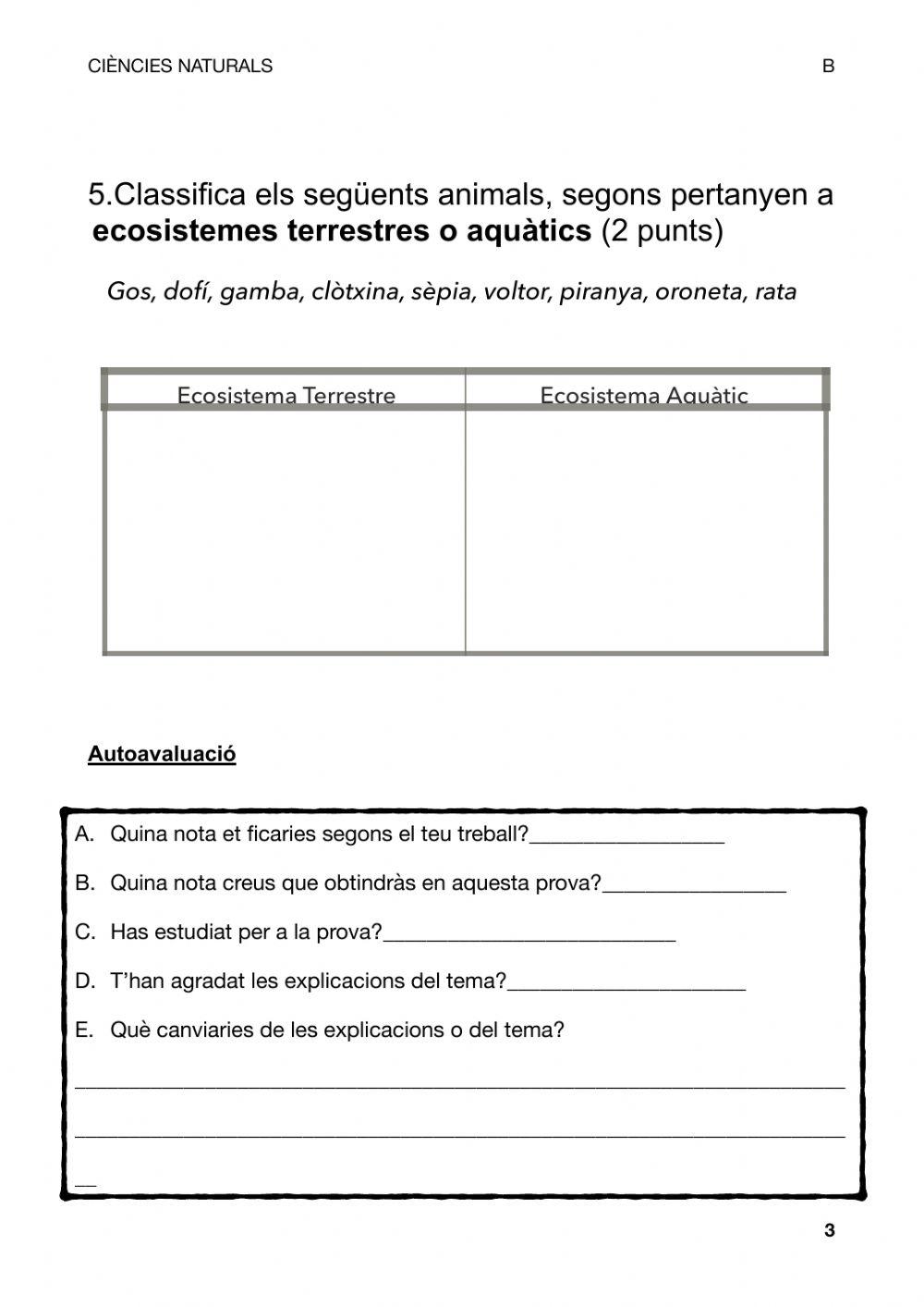 FItxa repàs. Ecosistemes