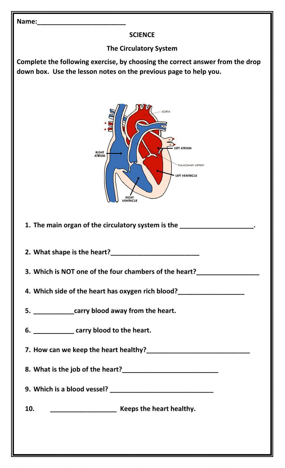 538288 The Circulatory System Mckenzie2021 538288 The Circulatory System Mckenzie2021