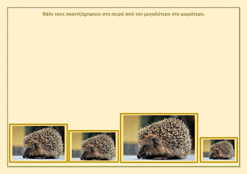 Σειροθετηση