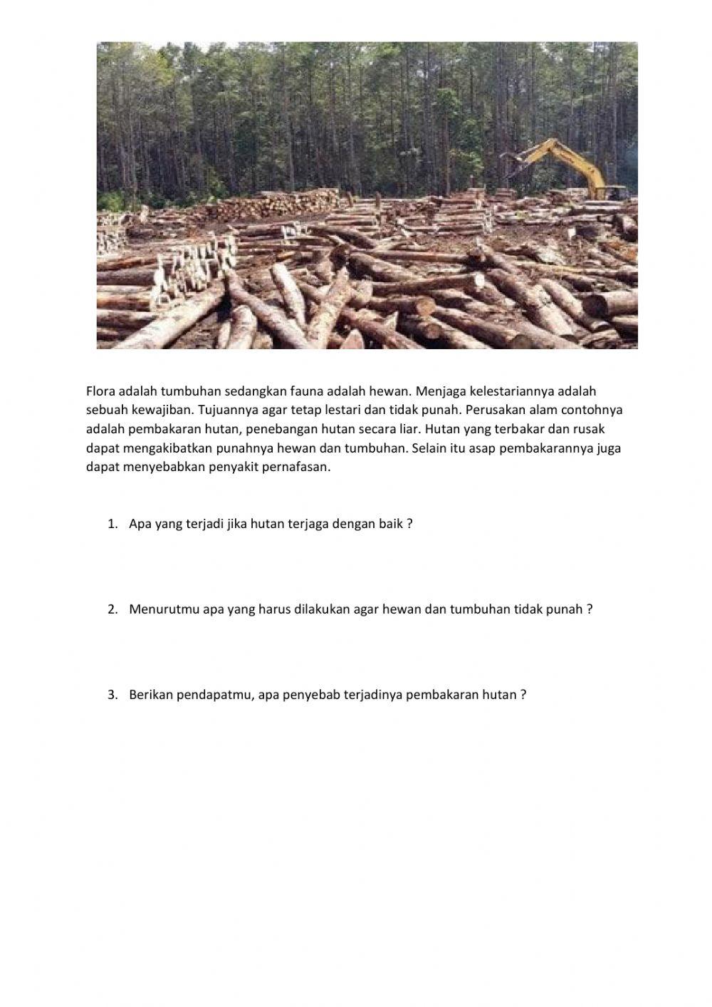Menganalisa kerusakan hutan