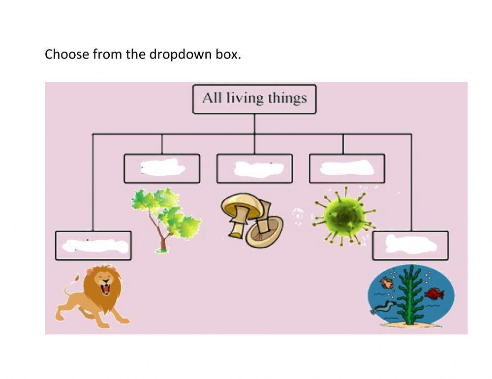 Five kingdoms of living things