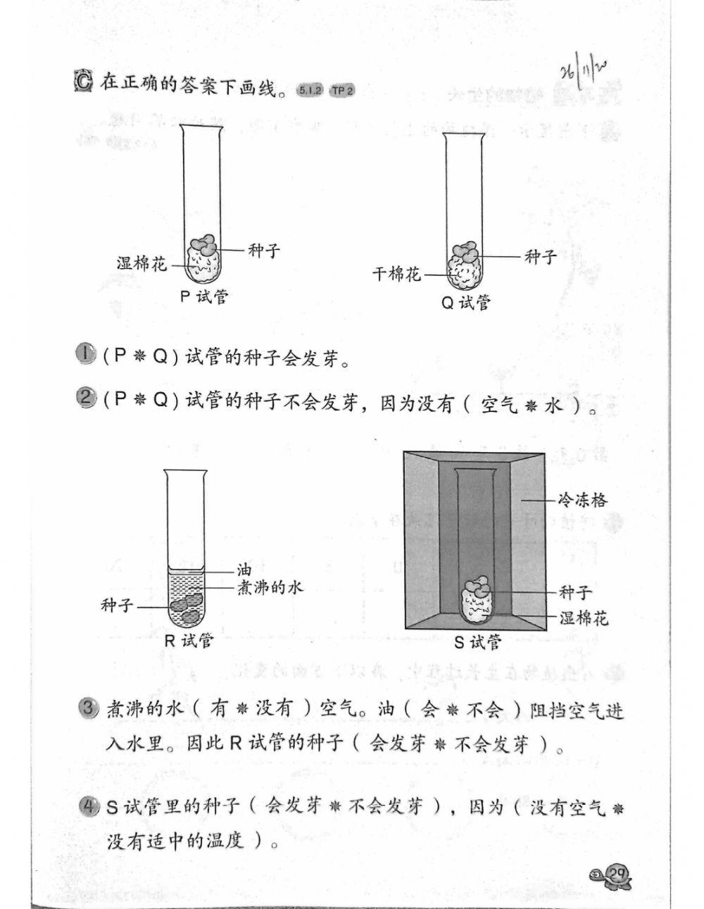 2年级科学（植物的生长- 生长需求）