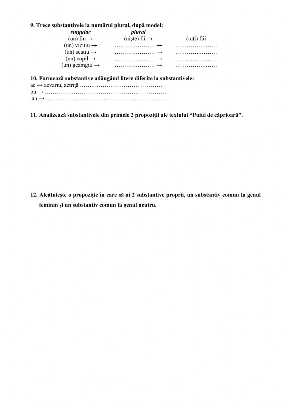 Recapitulare substantivul