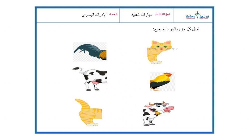 مهارات ذهنية