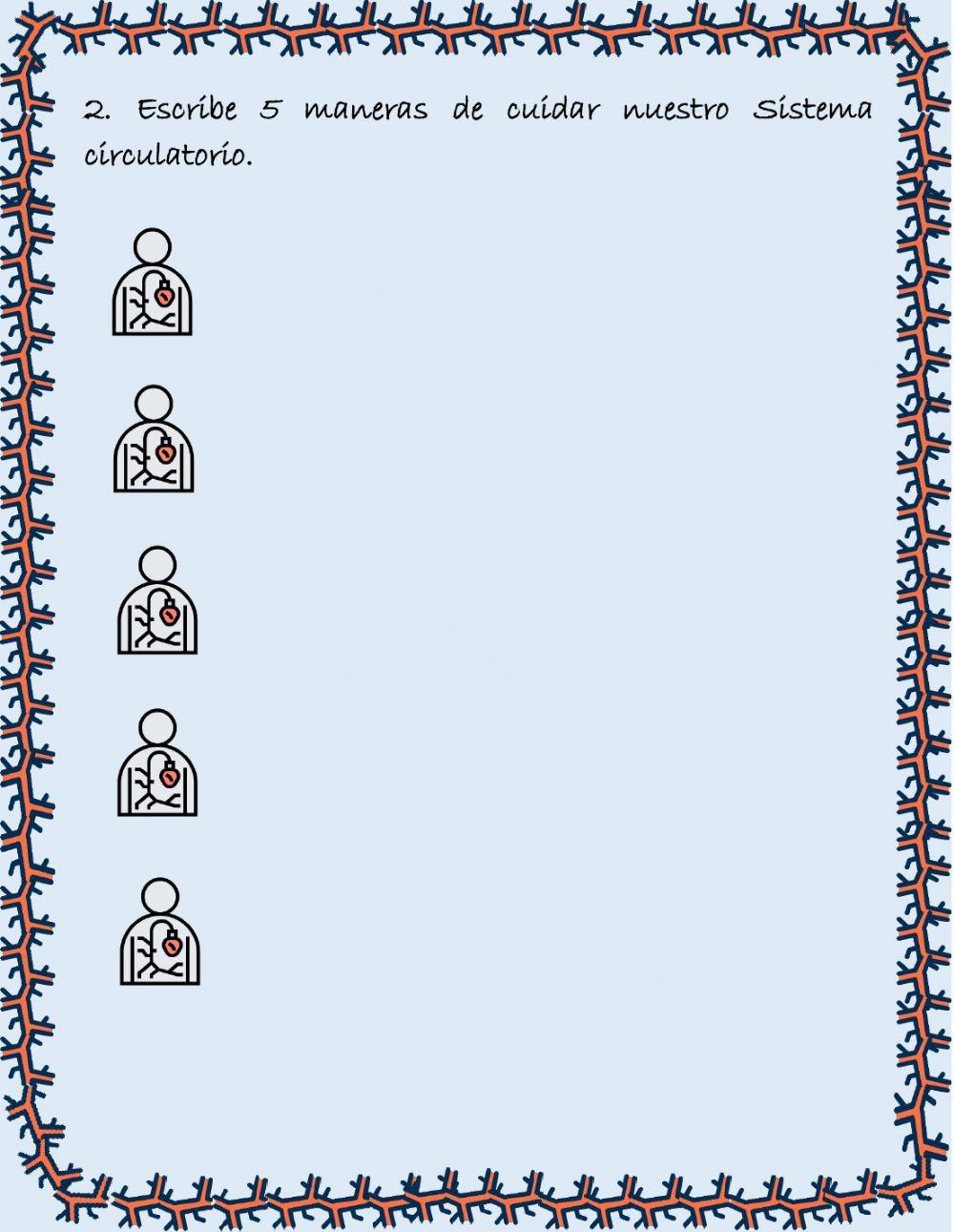 El sistema circulatorio