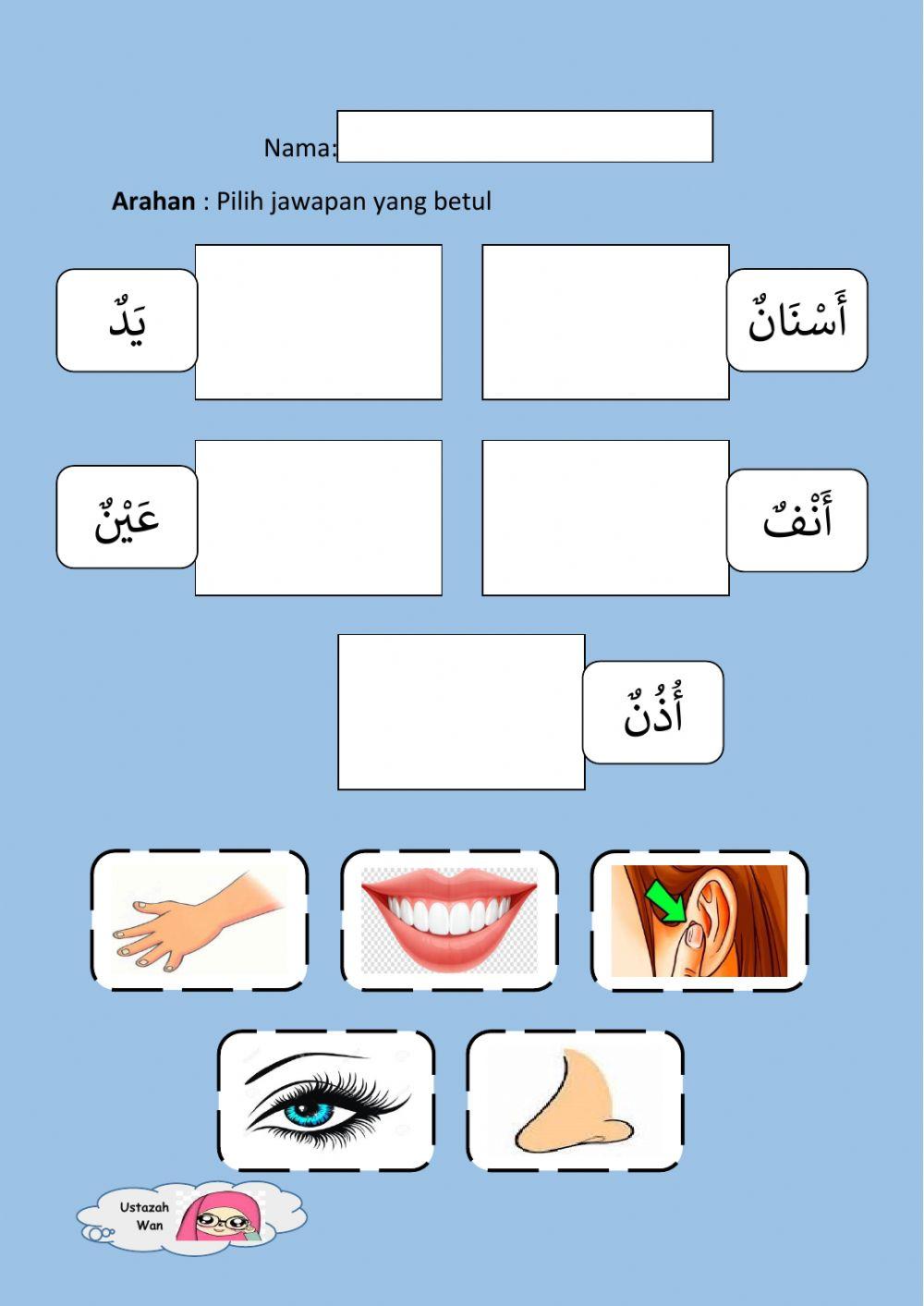 Bahasa Arab Mudah (Anggota Badan)