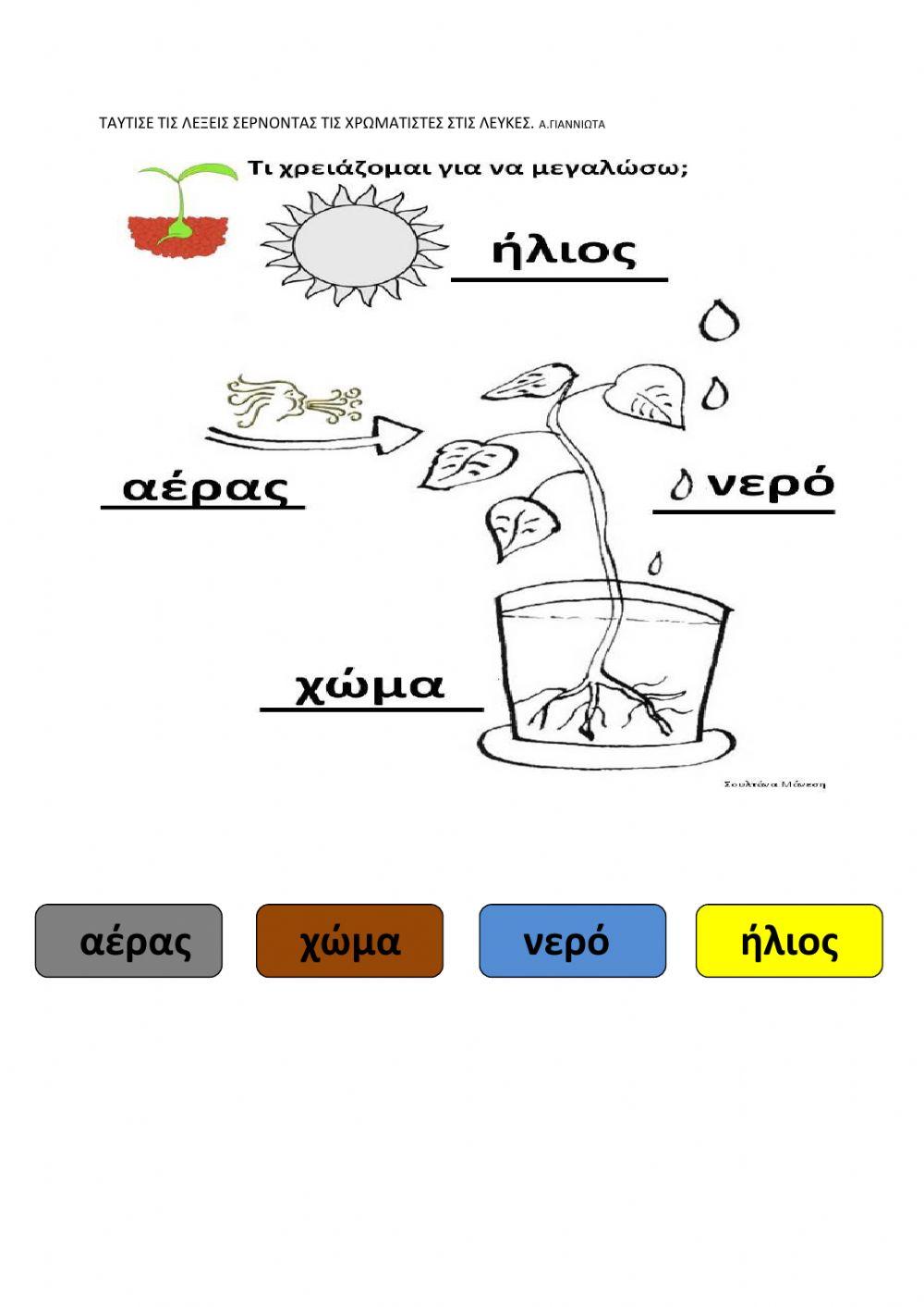 Ταυτισε τις λεξεις