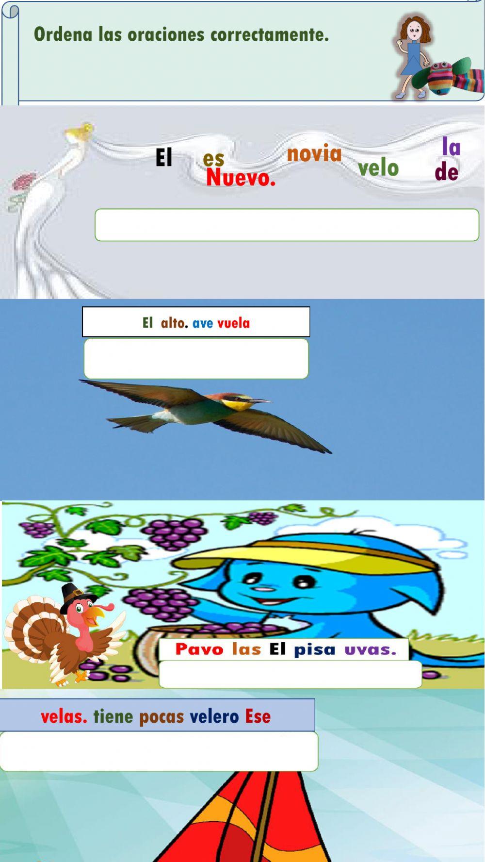 Ordena las oraciones correctamente