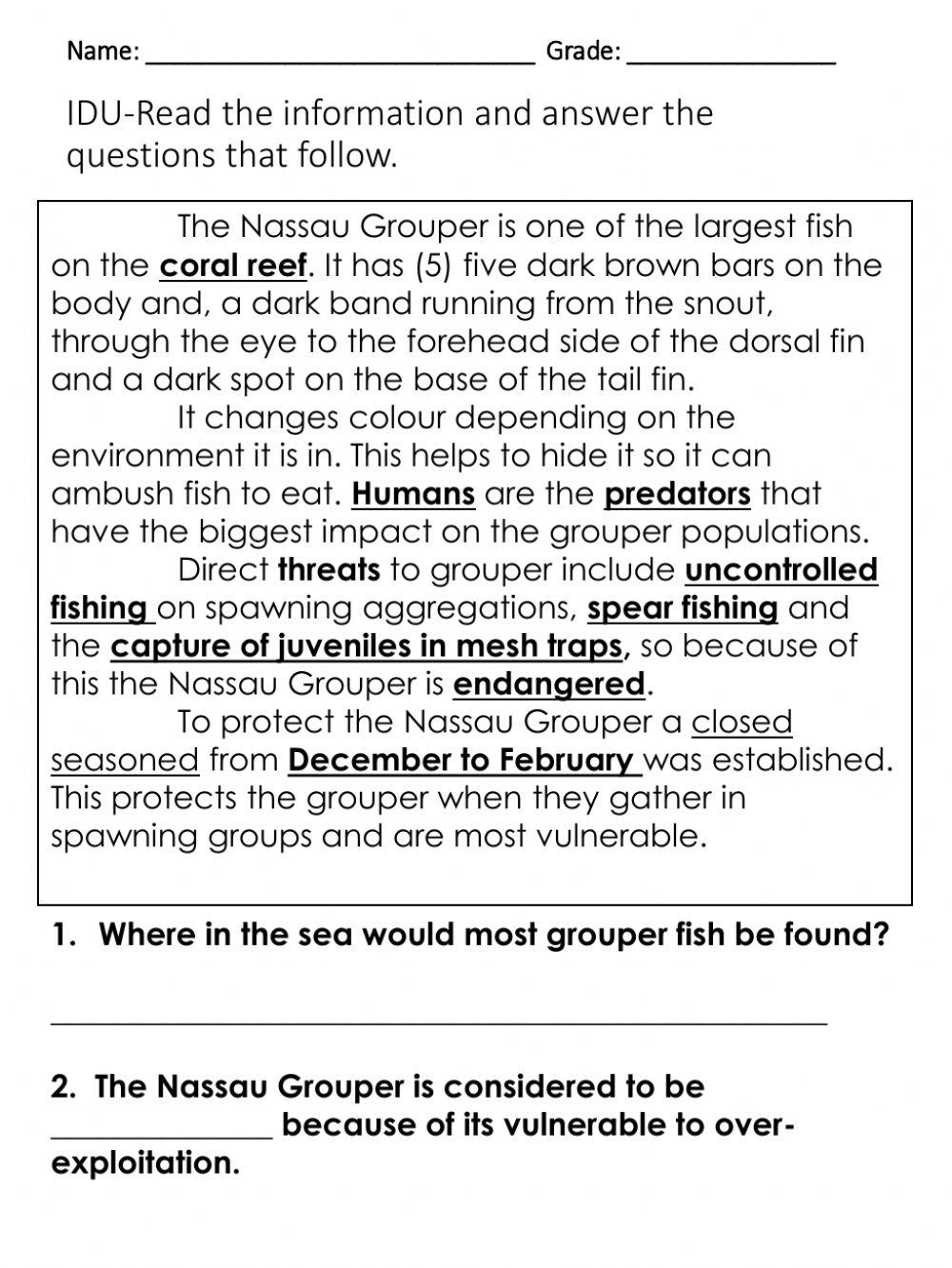The Nassau Grouper