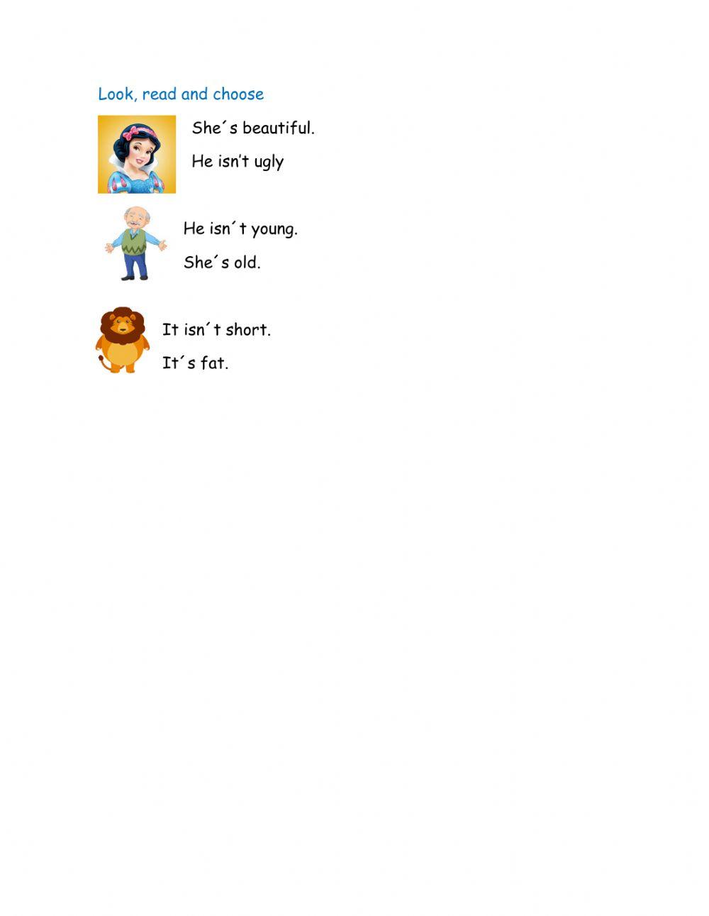 Physical descriptions