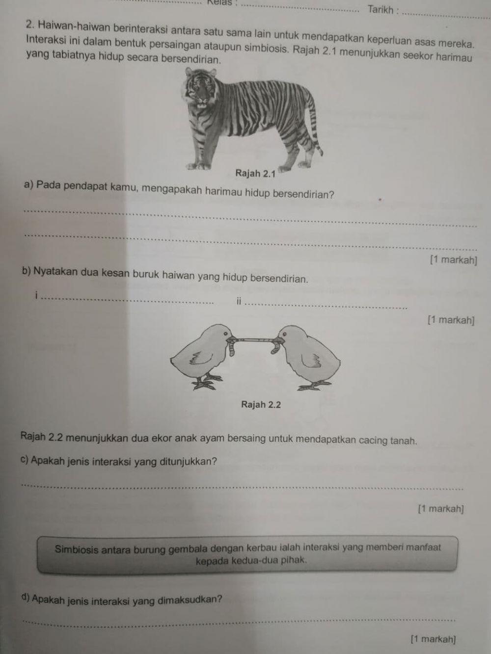 Interaksi antara haiwan