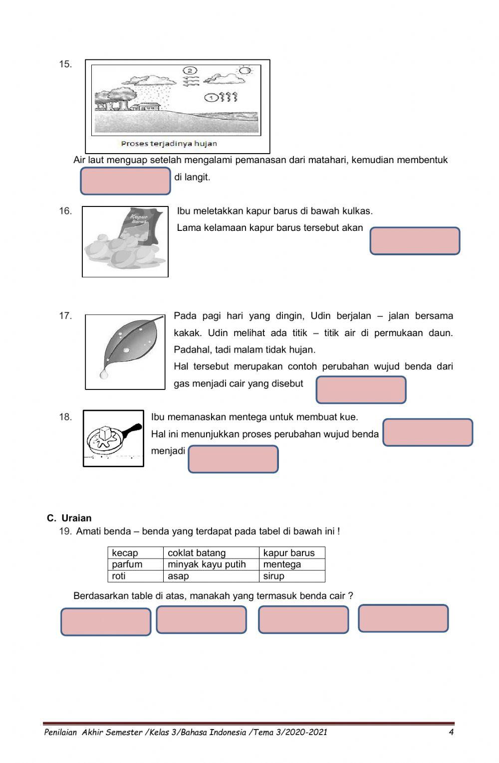 Pas B.Indonesia tema 3