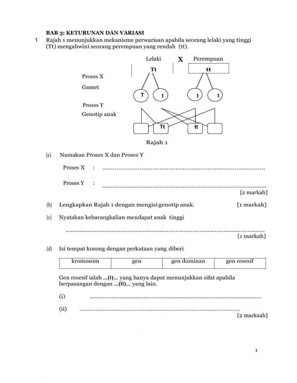 Variasi dan Keturunan