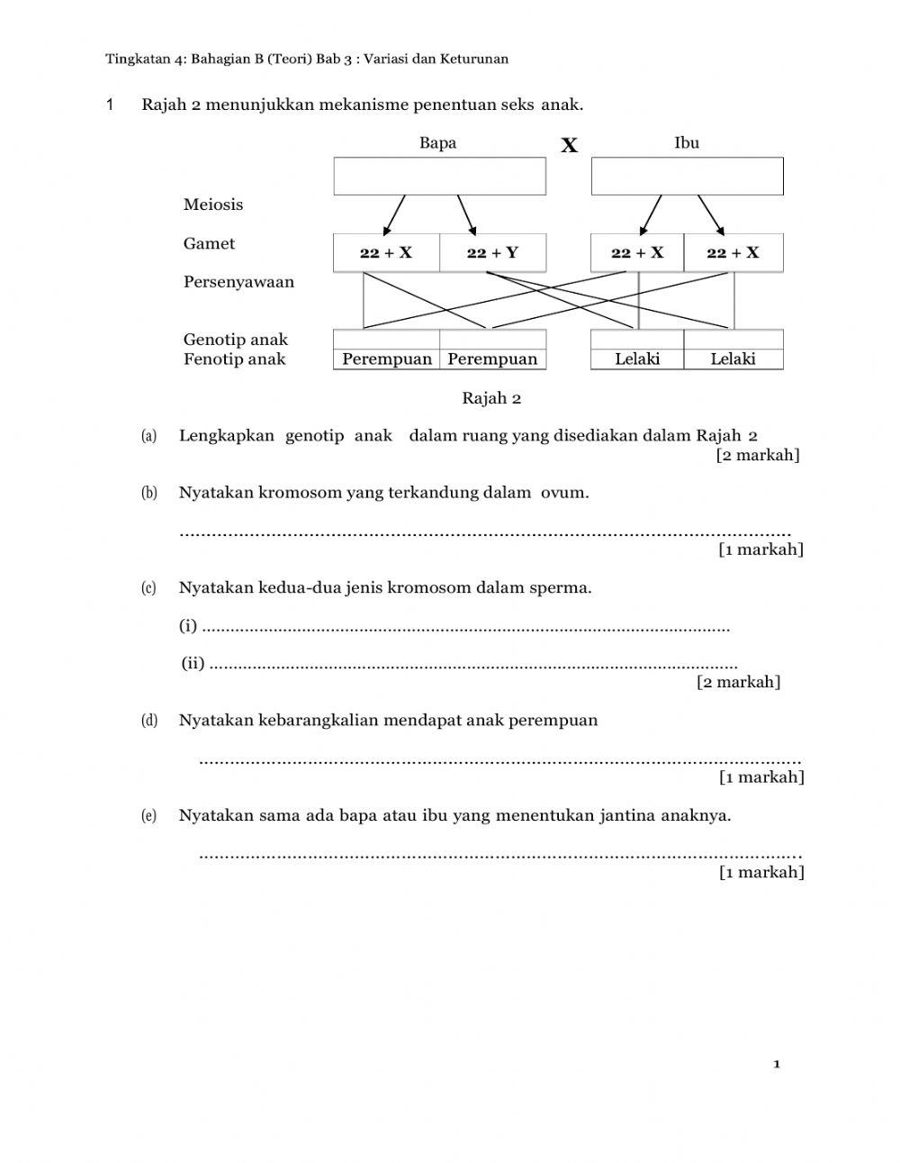 Variasi dan Keturunan