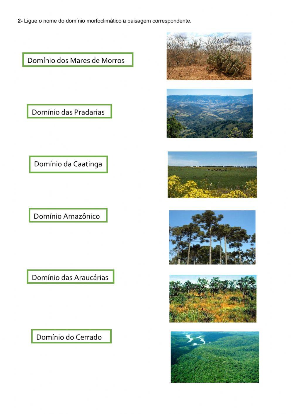 Paisagens e domínios naturais no Brasil e no mundo