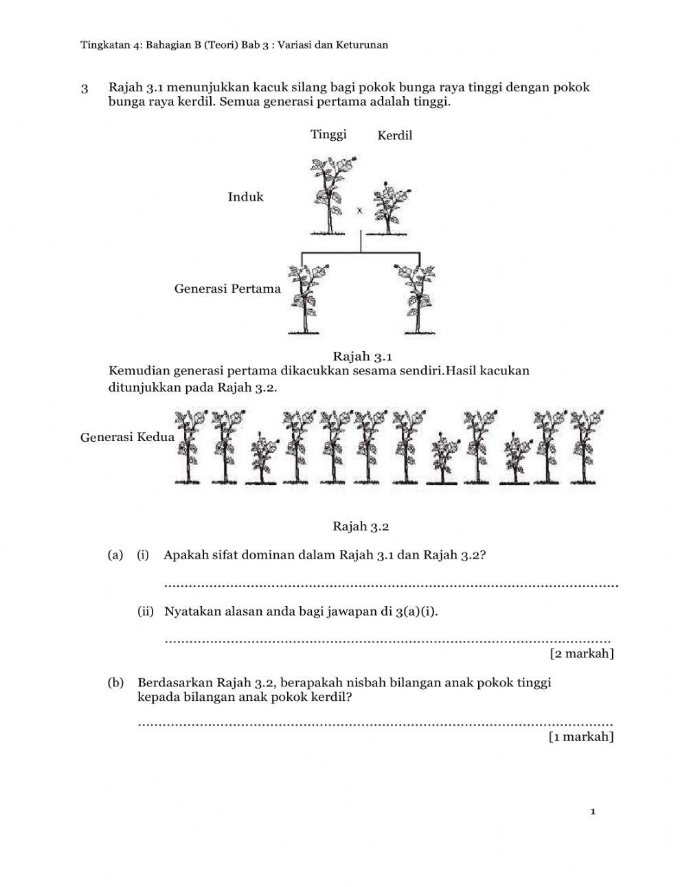 Variasi dan Keturunan