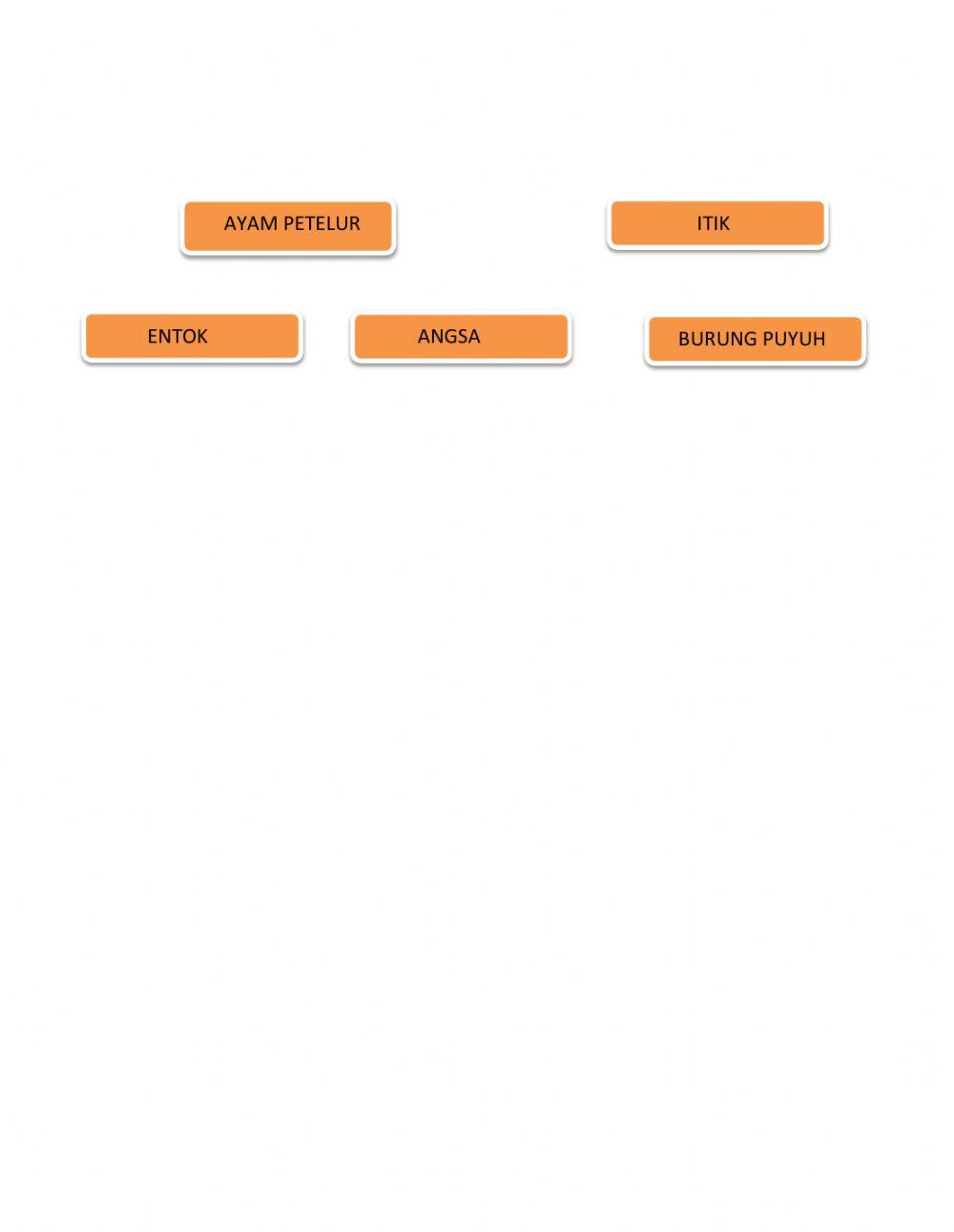 Soal budidaya unggas petelur