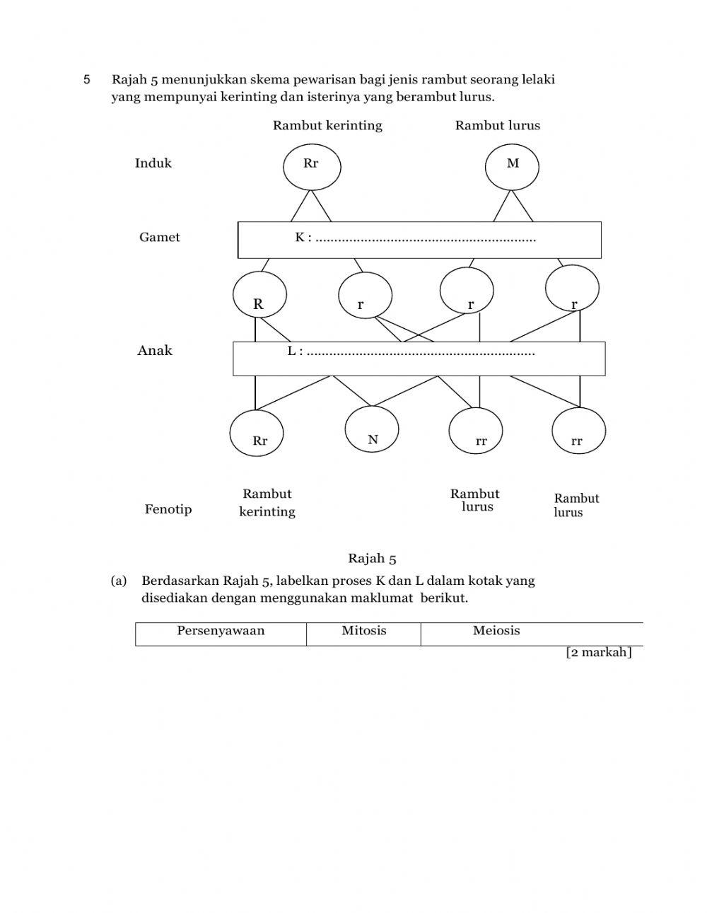 Variasi dan Keturunan