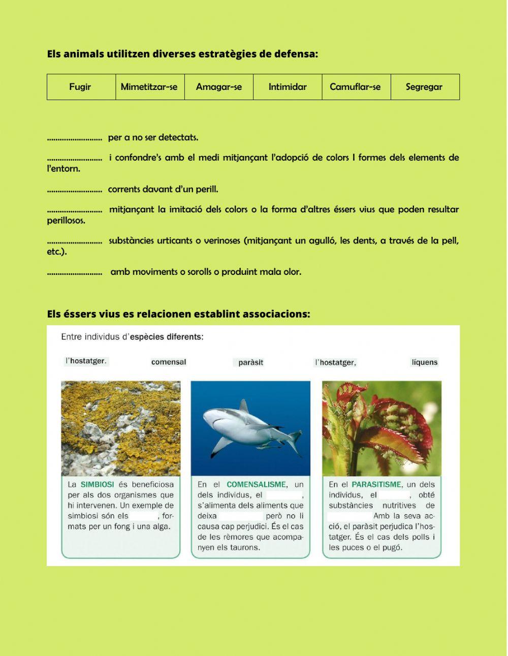 Adaptacions animals al medi