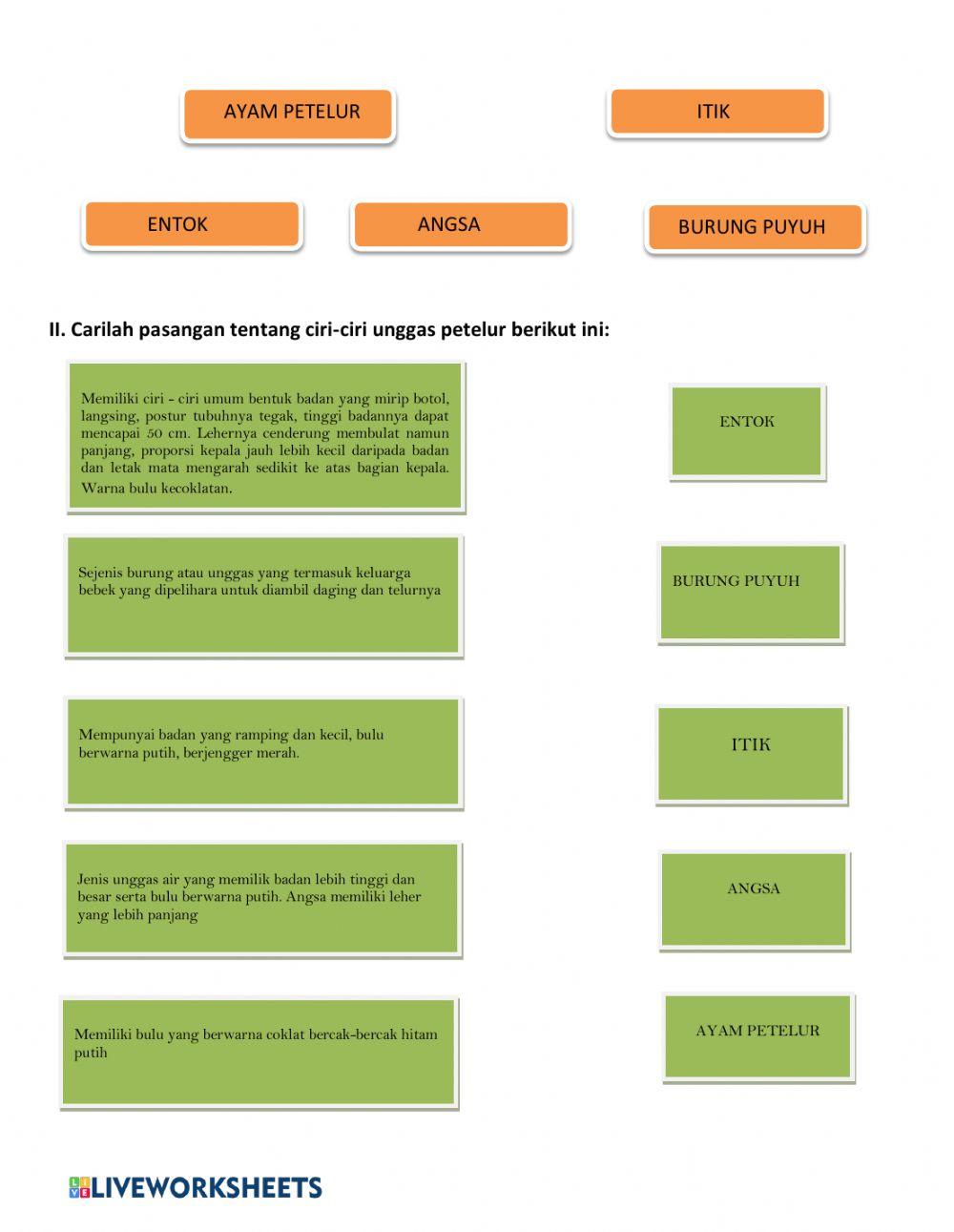 Soal budidaya unggas petelur