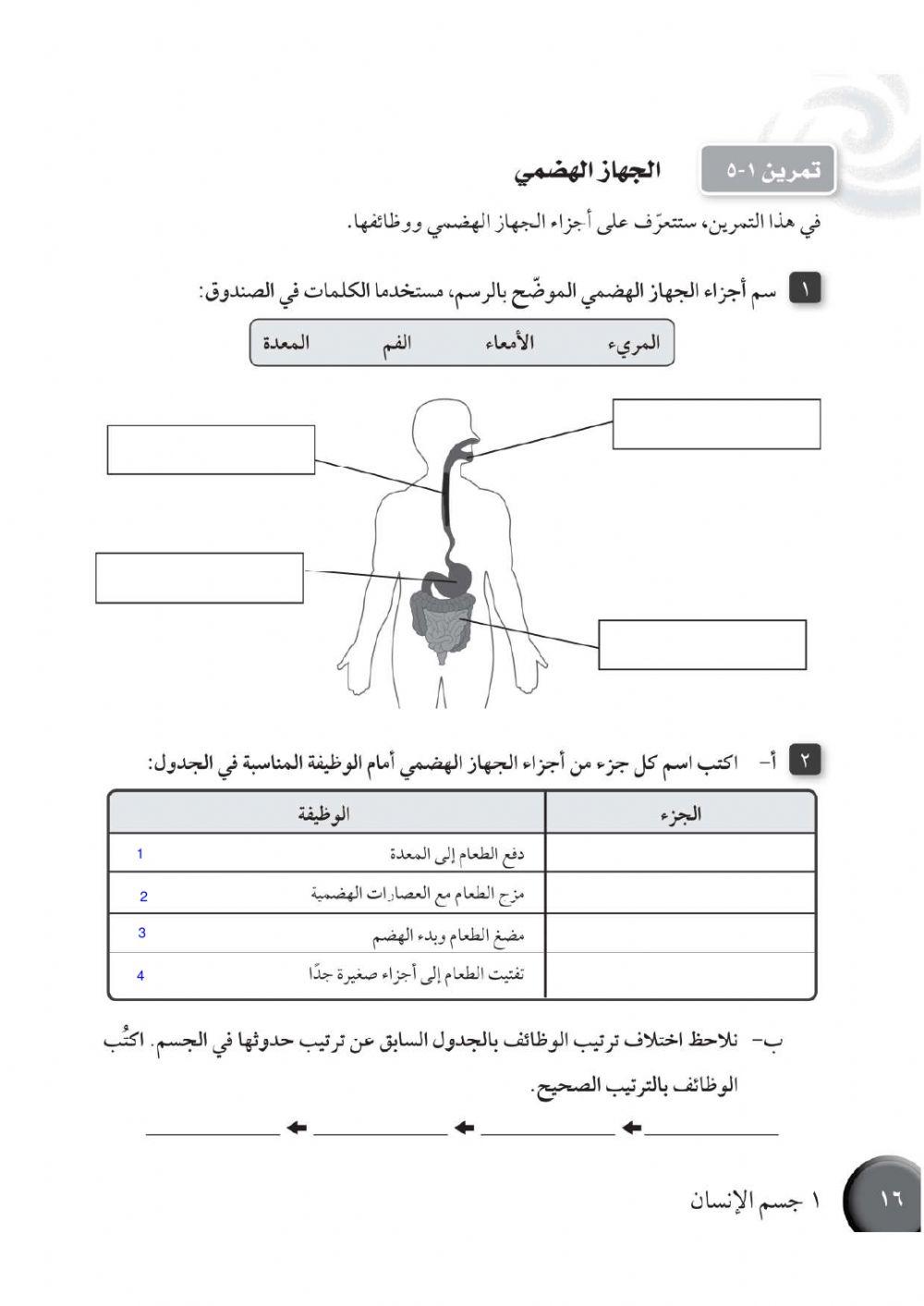 تمرين 1-5 الجهاز الهضمي