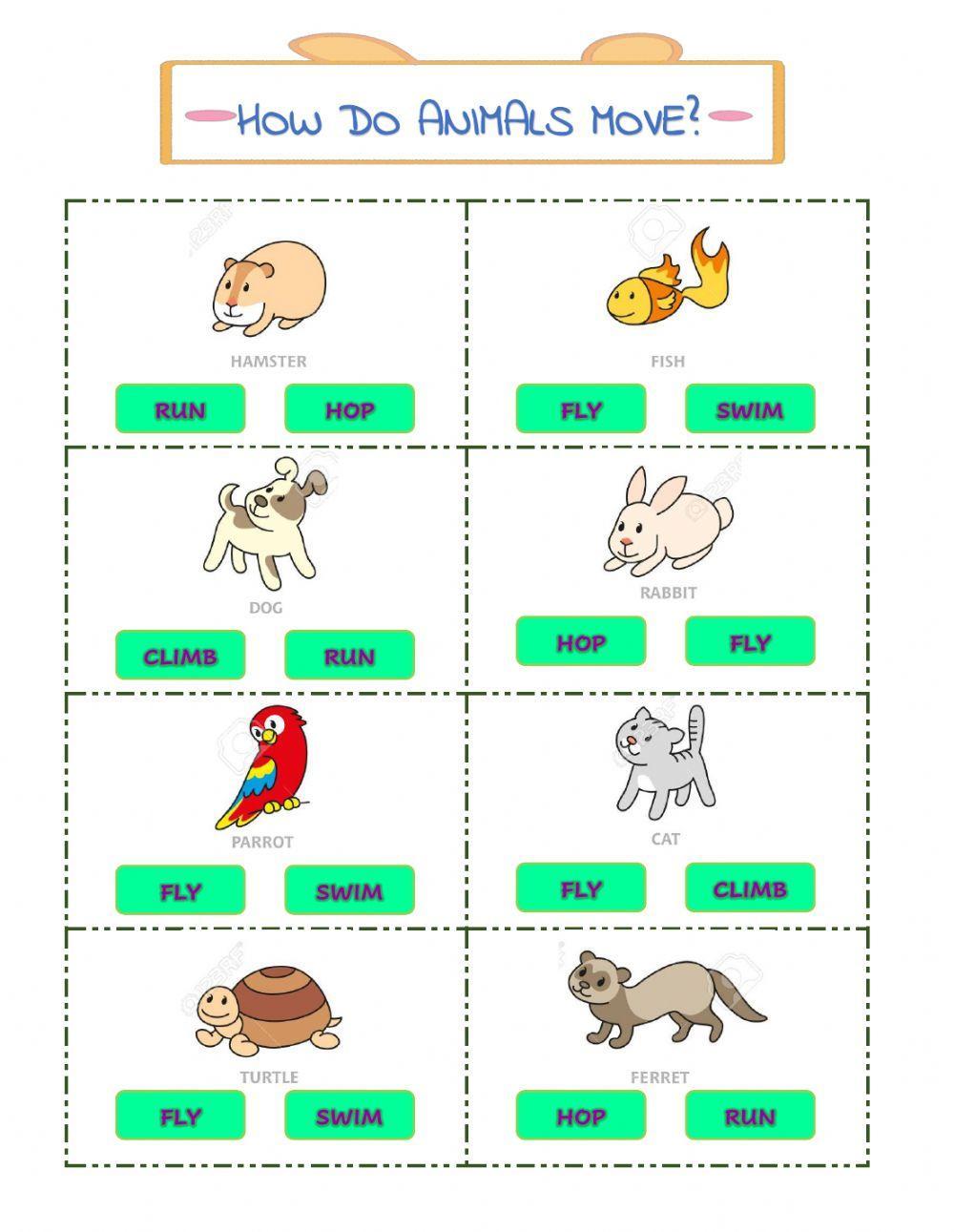 How do animals move? interactive worksheet Live Worksheets