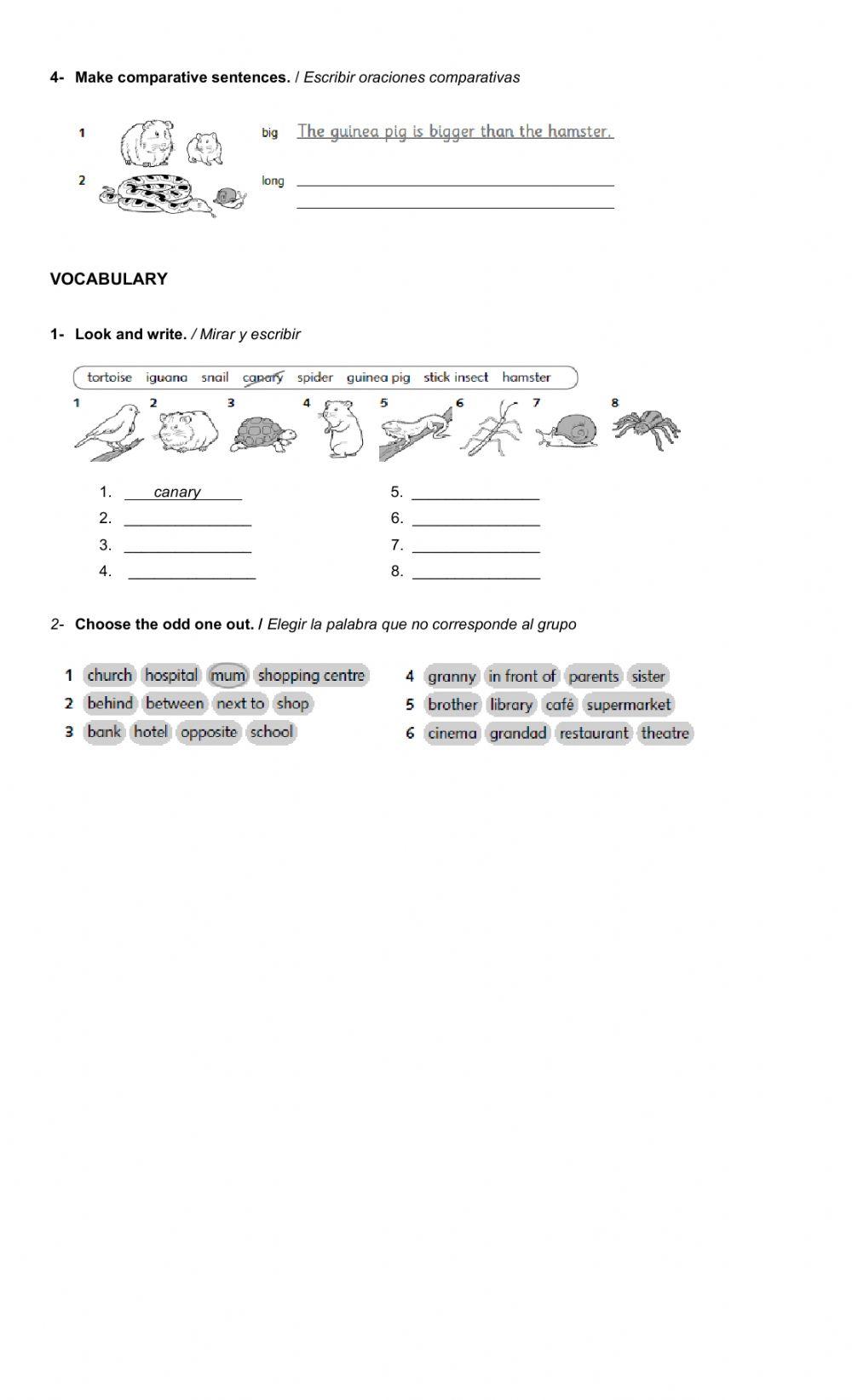 Second half term exam - Juniors 1 2020 - USE