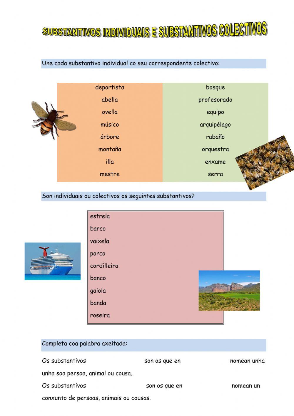 Substantivos individuais e substantivos colectivos