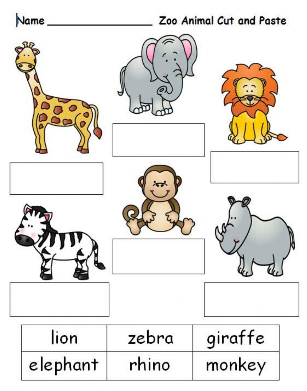 Zoo animals