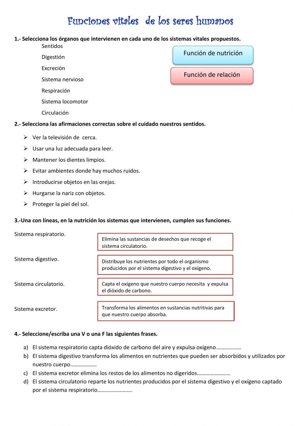 Funciones vitales de los seres humanos