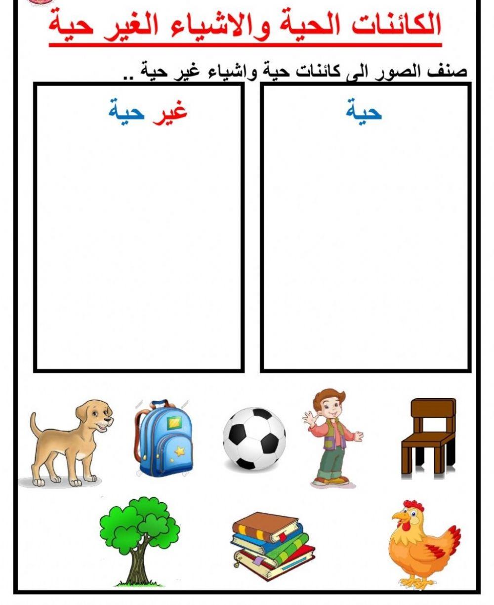 الكائنات الحية والأشياء غير حية