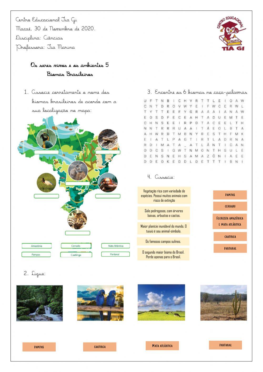 Biomas do Brasil worksheet for 7º ano