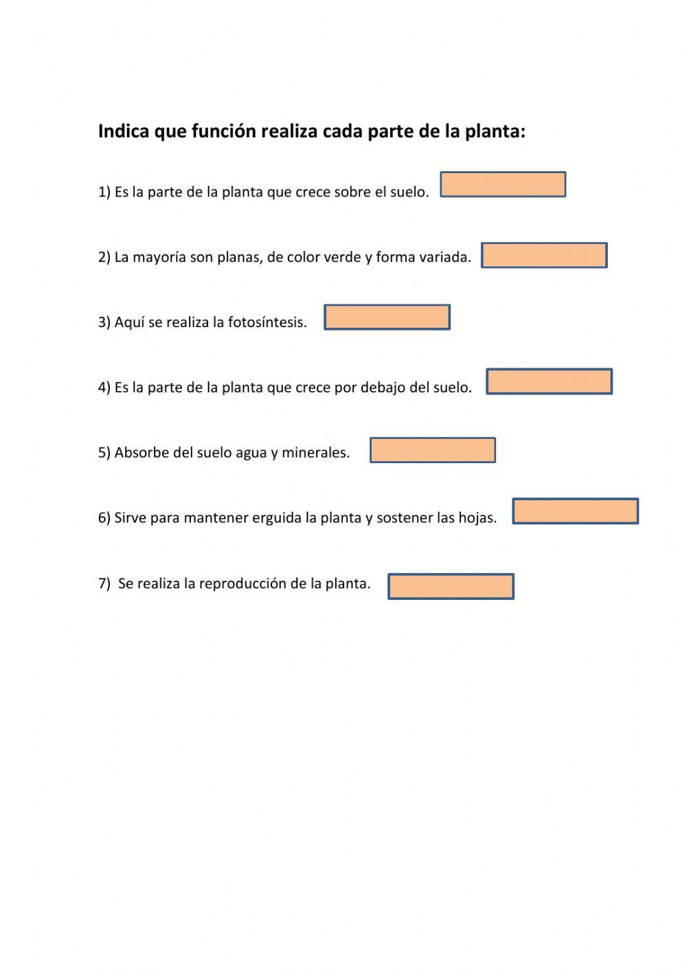 Reino de las plantas