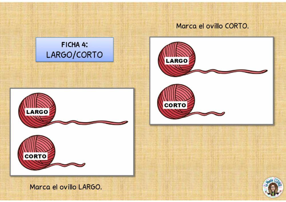 Evaluación CONCEPTOS