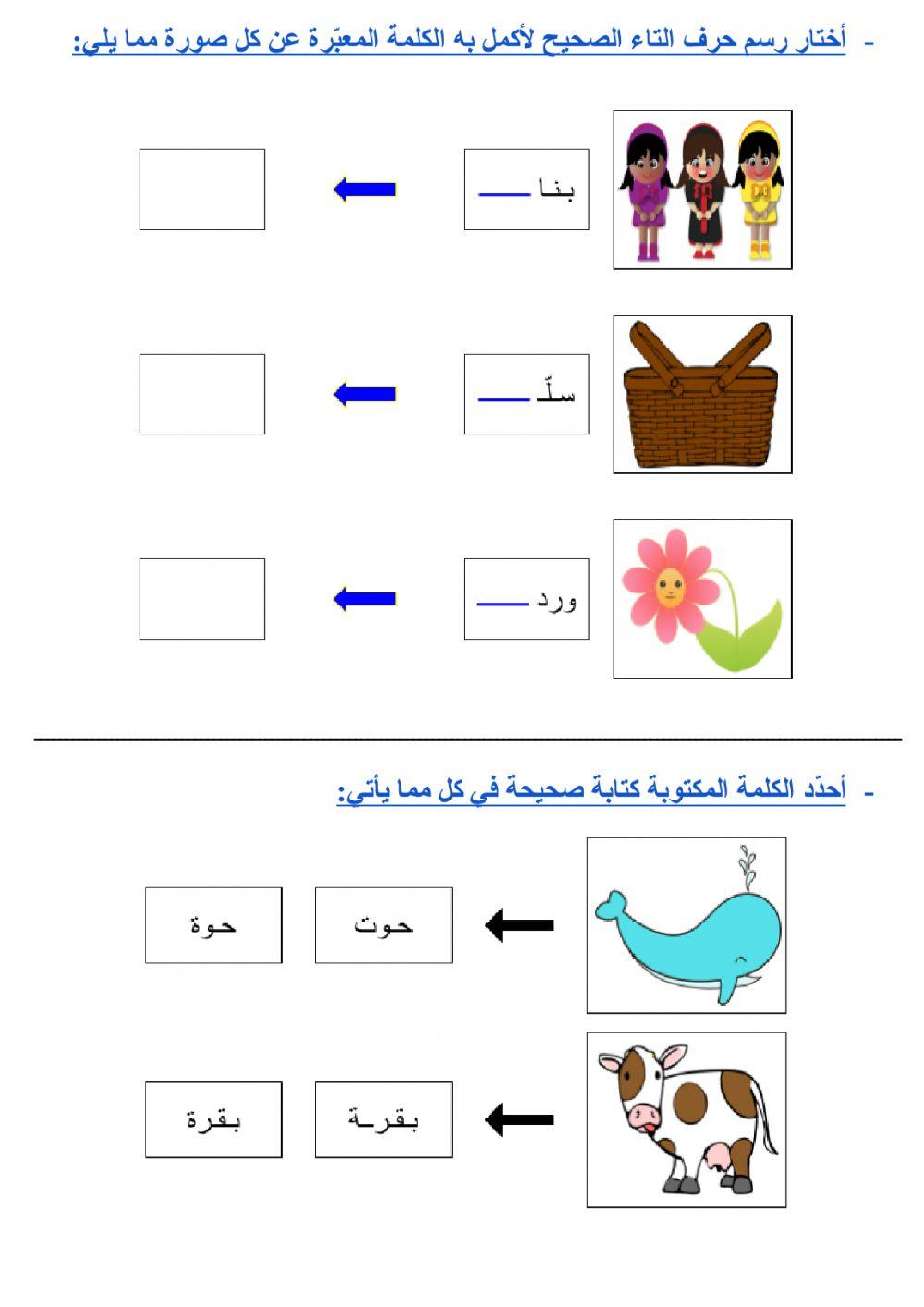 مراجعة - المرحلة المتوسطة