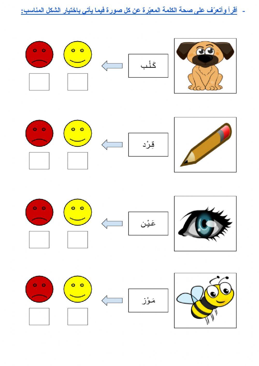 مراجعة - المرحلة المتوسطة