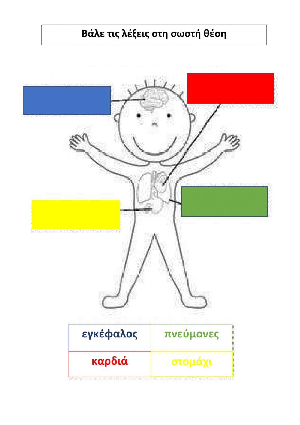 Όργανα σώματος