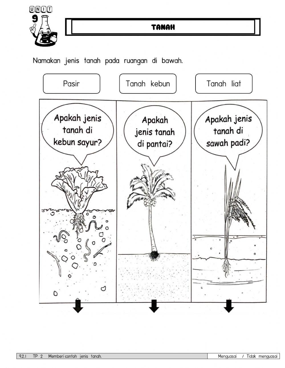 Unit 9 Bumi Sains Tahun 1