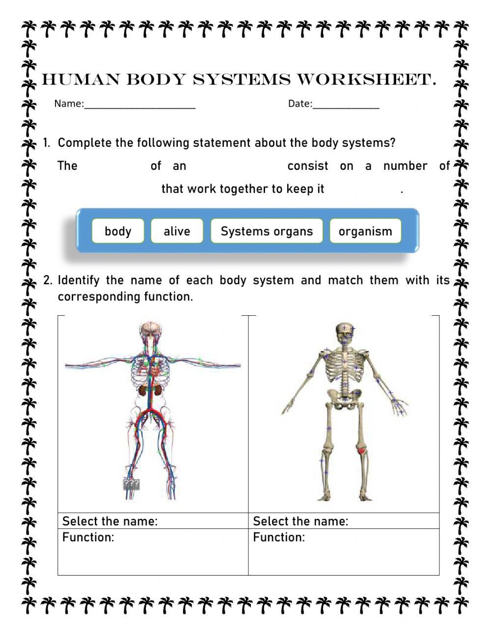Human body syst… | Free Interactive Worksheets | 547017, image size:1000x1291